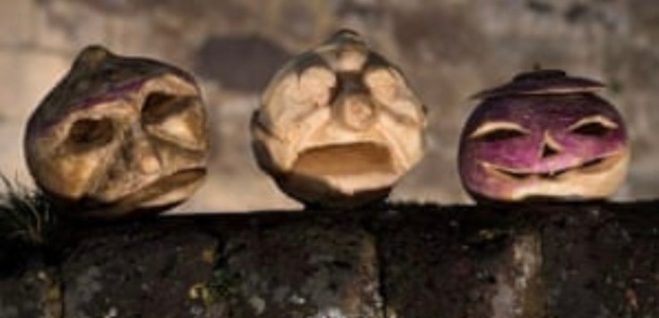 FE84356C-6201-4851-900A-9DE2123F03FE